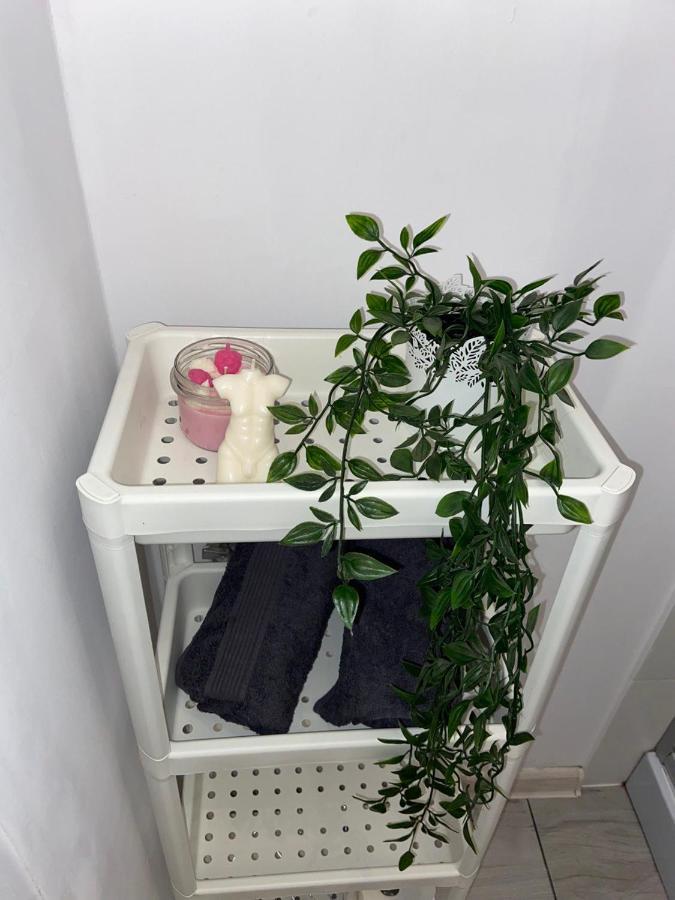 Apartament Grunwaldzka Бидгошч Екстериор снимка